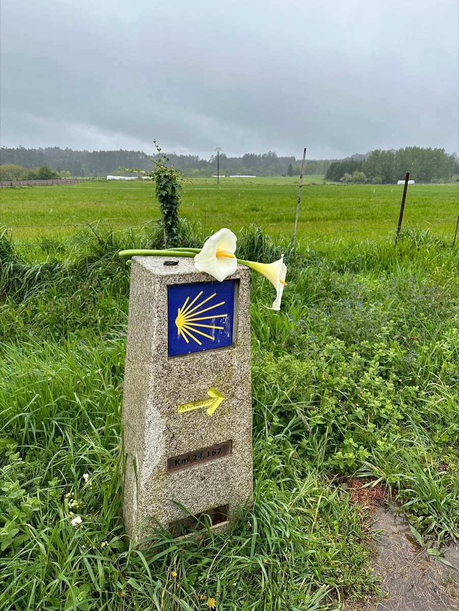 Camino de Santiago