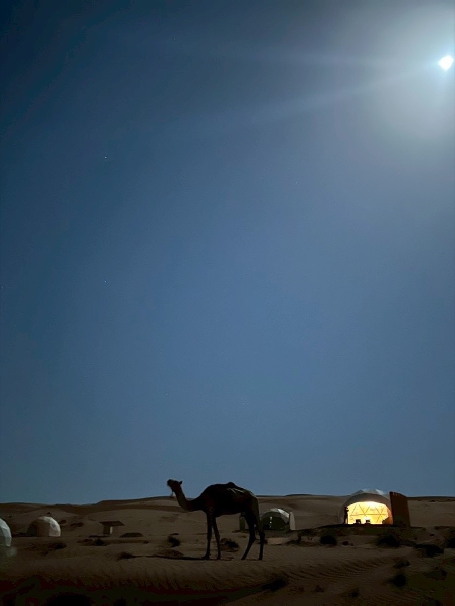 Desert Night
