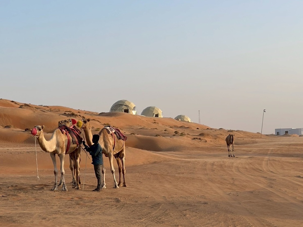 Oman Desert