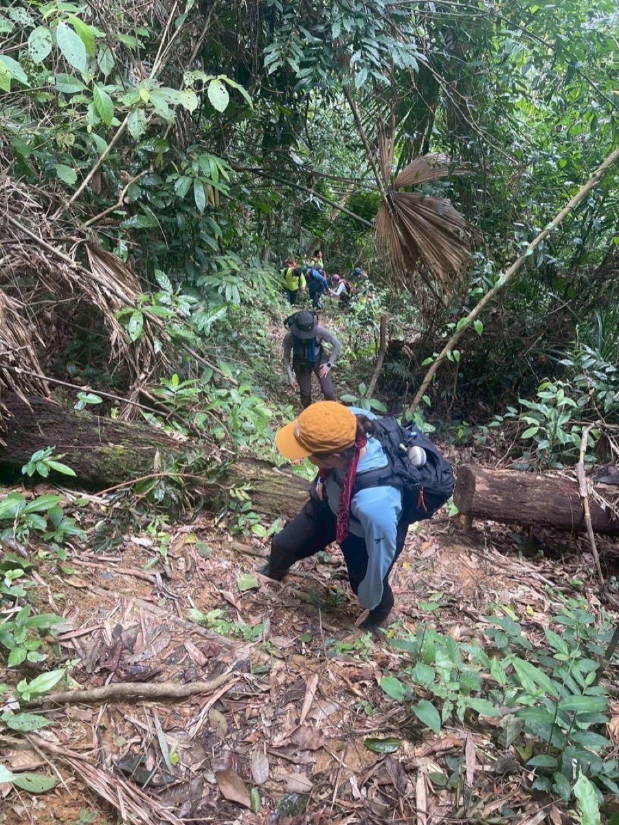 Jungle Trek