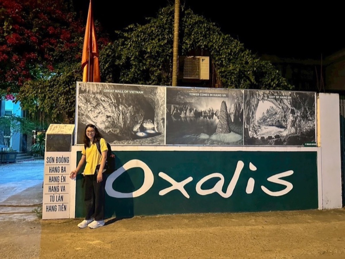 Oxalis Sign